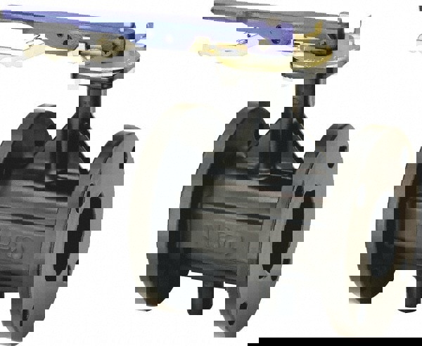 Manual Flanged Butterfly Valve: 6