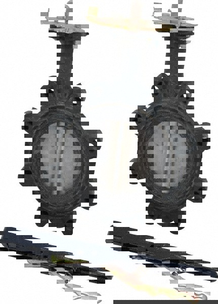 4 DI 250# SS EPDM LUG BFV LO