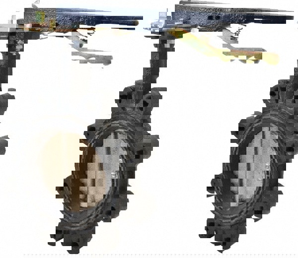 Manual Lug Butterfly Valve: 4