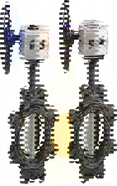 Manual Lug Butterfly Valve: 10