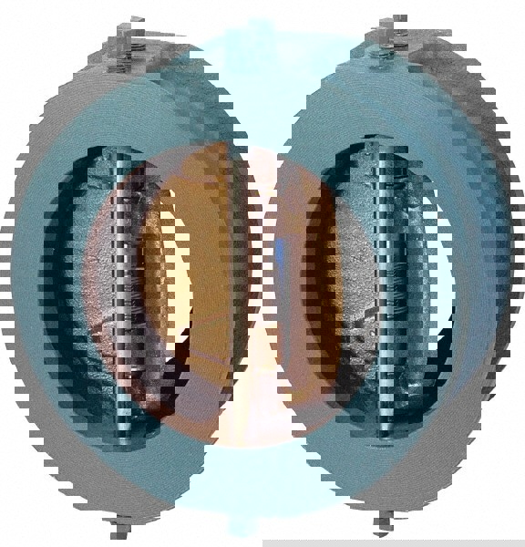 Class 125 Check Valve: 18