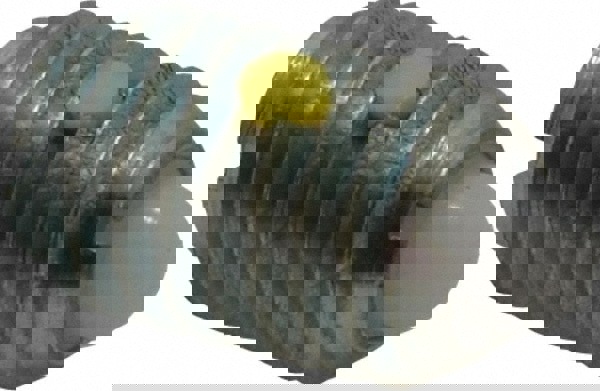 Threaded Spring Plunger: 1/2-13, 3/4