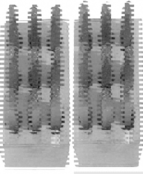 Economy Stamp Set: 1/16