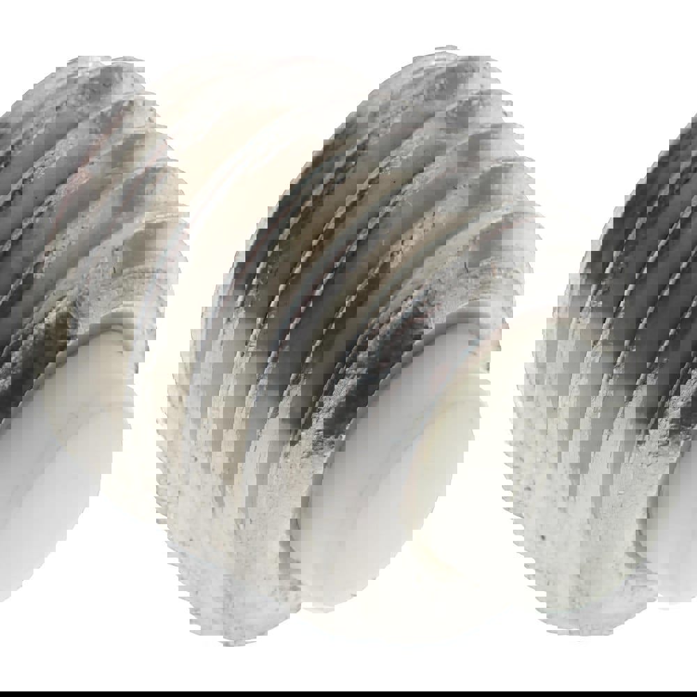 Set Screw: #10-32 x 3/16