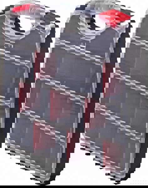 30 Compartment Black Bottom with Clear Top Small Parts Double Sided Organizer