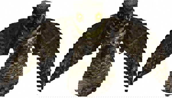 Plastic Bird Repellant