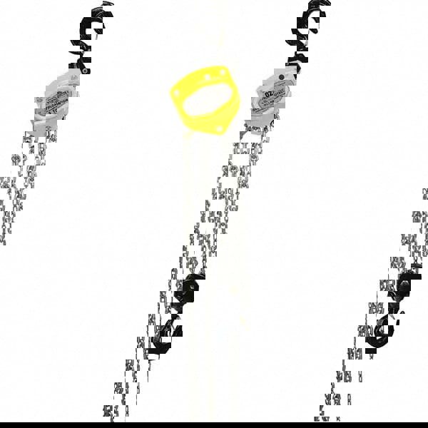 Manual Hand Chain with Overload Protection Hoist