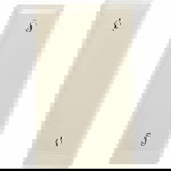 Wall Plates; Wall Plate Type: Blank Wall Plate ; Color: Light Almond ; Wall Plate Configuration: Blank ; Material: Thermoplastic ; Shape: Rectangle ; Wall Plate Size: Standard