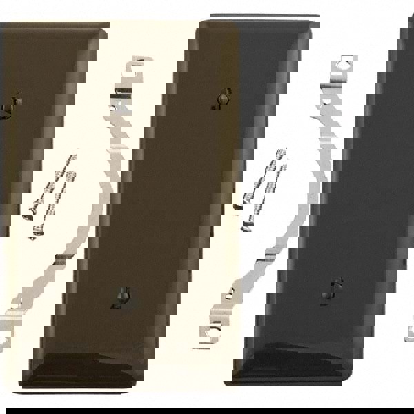 Wall Plates; Wall Plate Type: Blank Wall Plate ; Color: Brown ; Wall Plate Configuration: Blank ; Material: Thermoplastic ; Shape: Rectangle ; Wall Plate Size: Standard