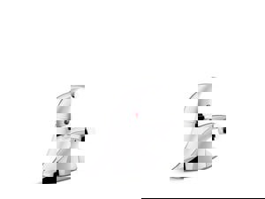 CCY LF 1.2 1HDL LEV CC LAV FCT CP