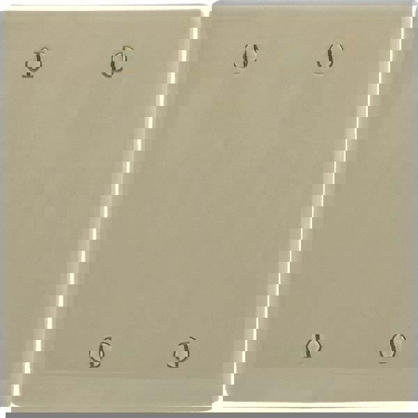 Wall Plates; Wall Plate Type: Blank Wall Plate ; Color: Ivory ; Wall Plate Configuration: Blank ; Material: Thermoplastic ; Shape: Rectangle ; Wall Plate Size: Standard