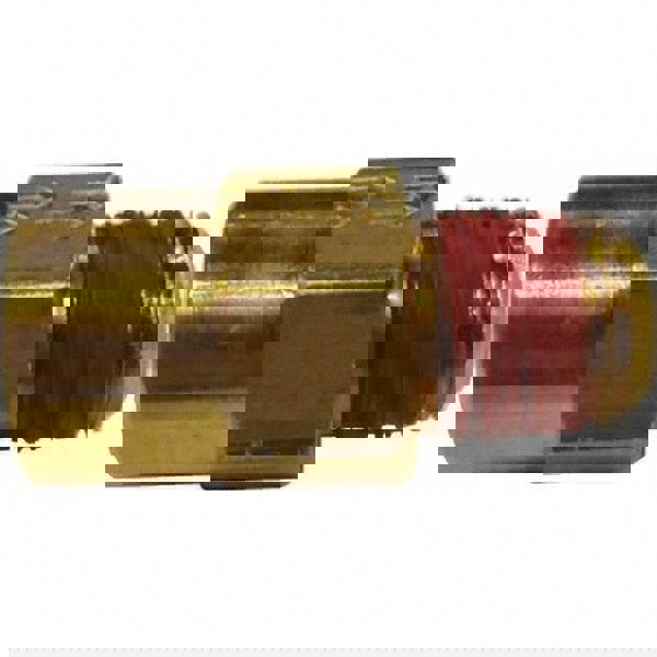 Check Valve: 1/4 x 1/4