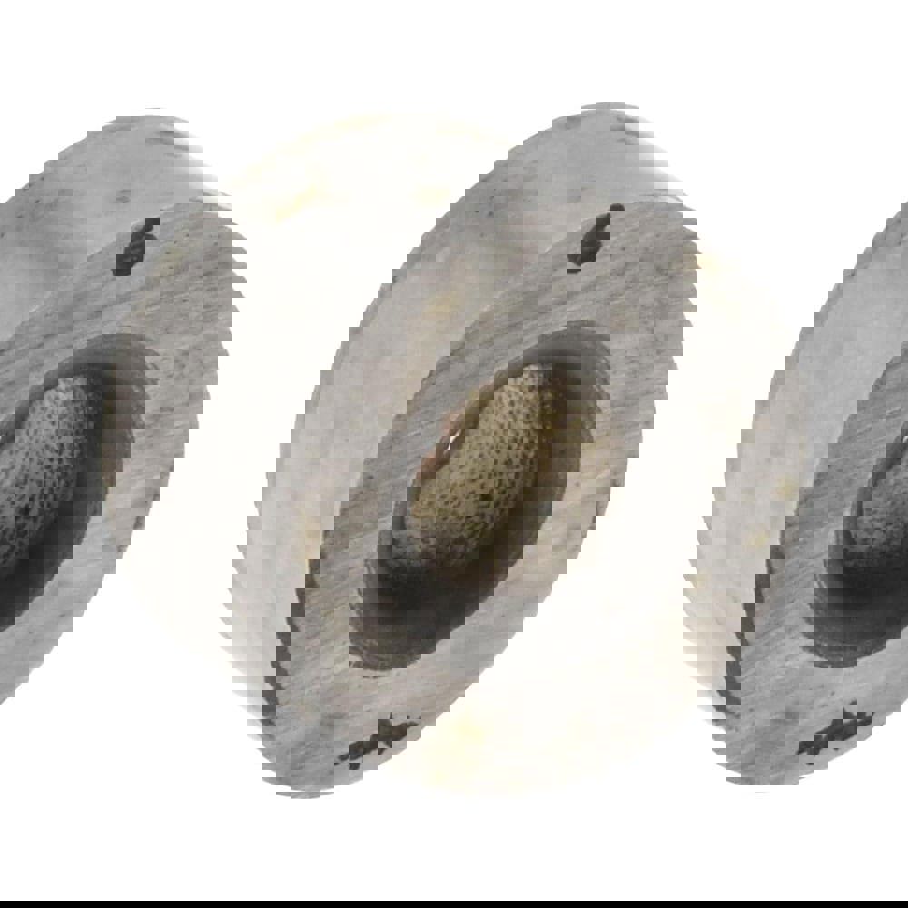 Press Fit Headless Drill Bushing: P, 0.204