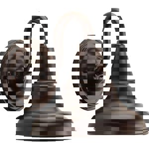 ANBR 1 100W MED INCAND LNTRN WM