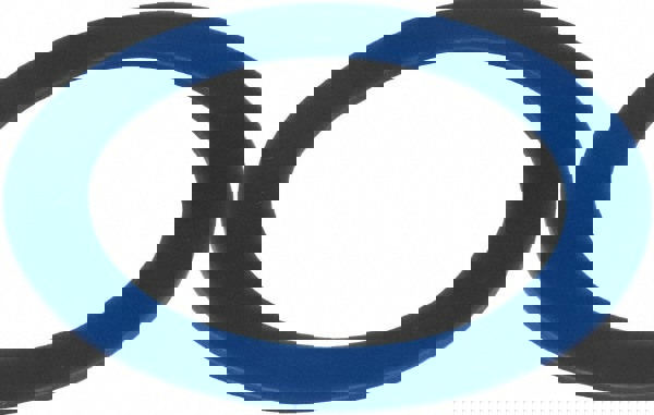 Toilet Repair Gasket