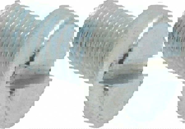 Machine Screw: M6x1, 10.00 mm Length Under Head, Cheese Head, Slotted