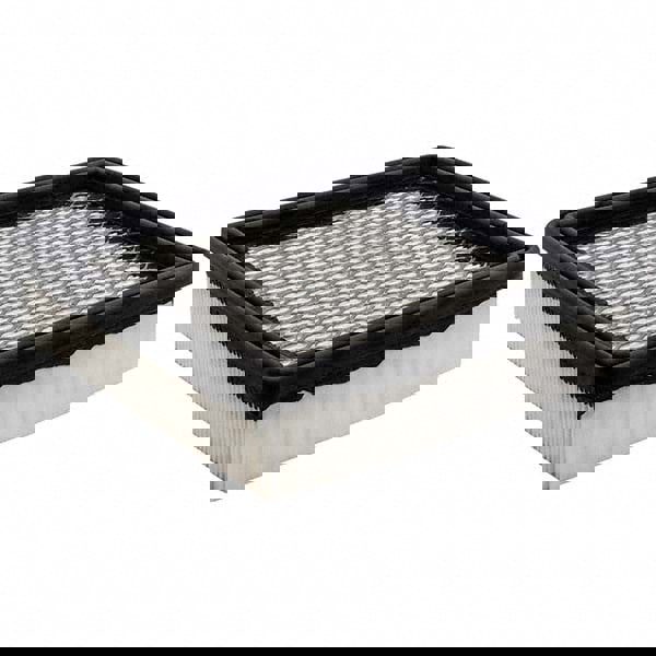 Automotive Air Filter: