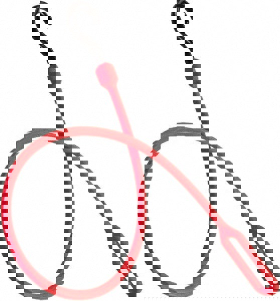 Loop End Bungee Cord with Molded Nylon Hook