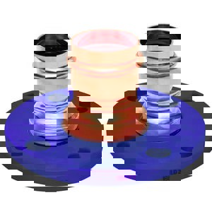 LF 2 PXFLG 150# COMP FLG