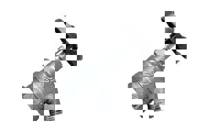 NP 3/4 FIP BENT NOSE GRDN VLV