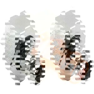 LF 2 PRESS P X FPT DIELEC UNION