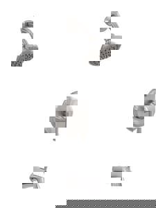 CCY 1.8 1HDL LEV T&S FCT TRIM BN