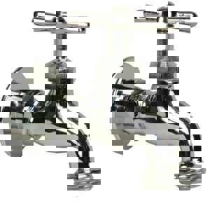 NP 1/2 FIP CP SILCOCK HOSE END