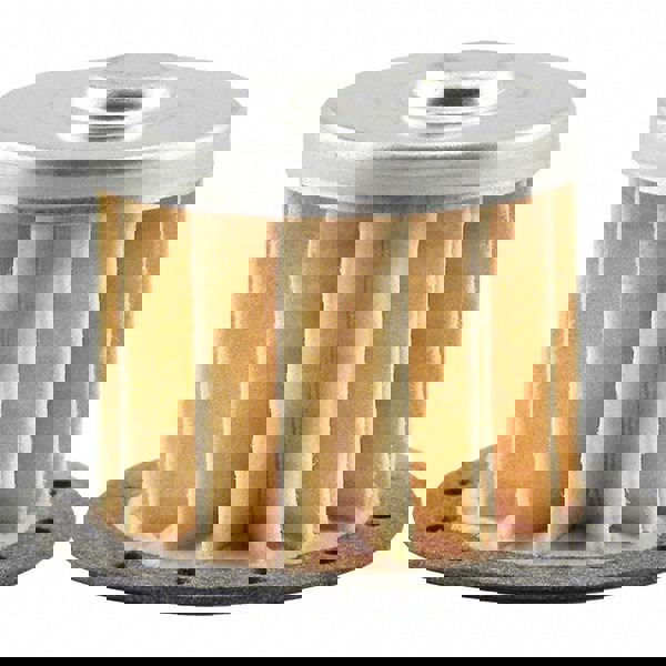 Automotive Fuel Filter: 1-3/8