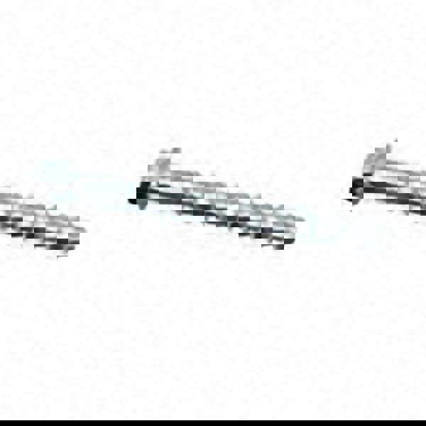 Concrete & Masonry Fastener: 1/4