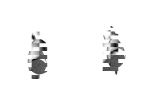 Multi Function Showerhead in Chrome