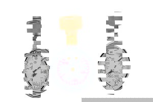 *NP 2-1/2 WTR TEST GA 0-300# W/IND
