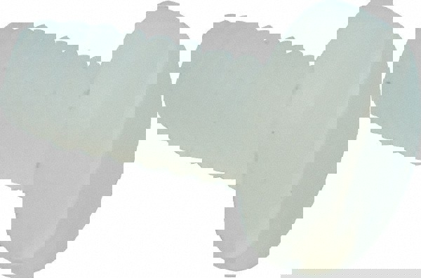 Machine Screw: #4-40 x 1/4