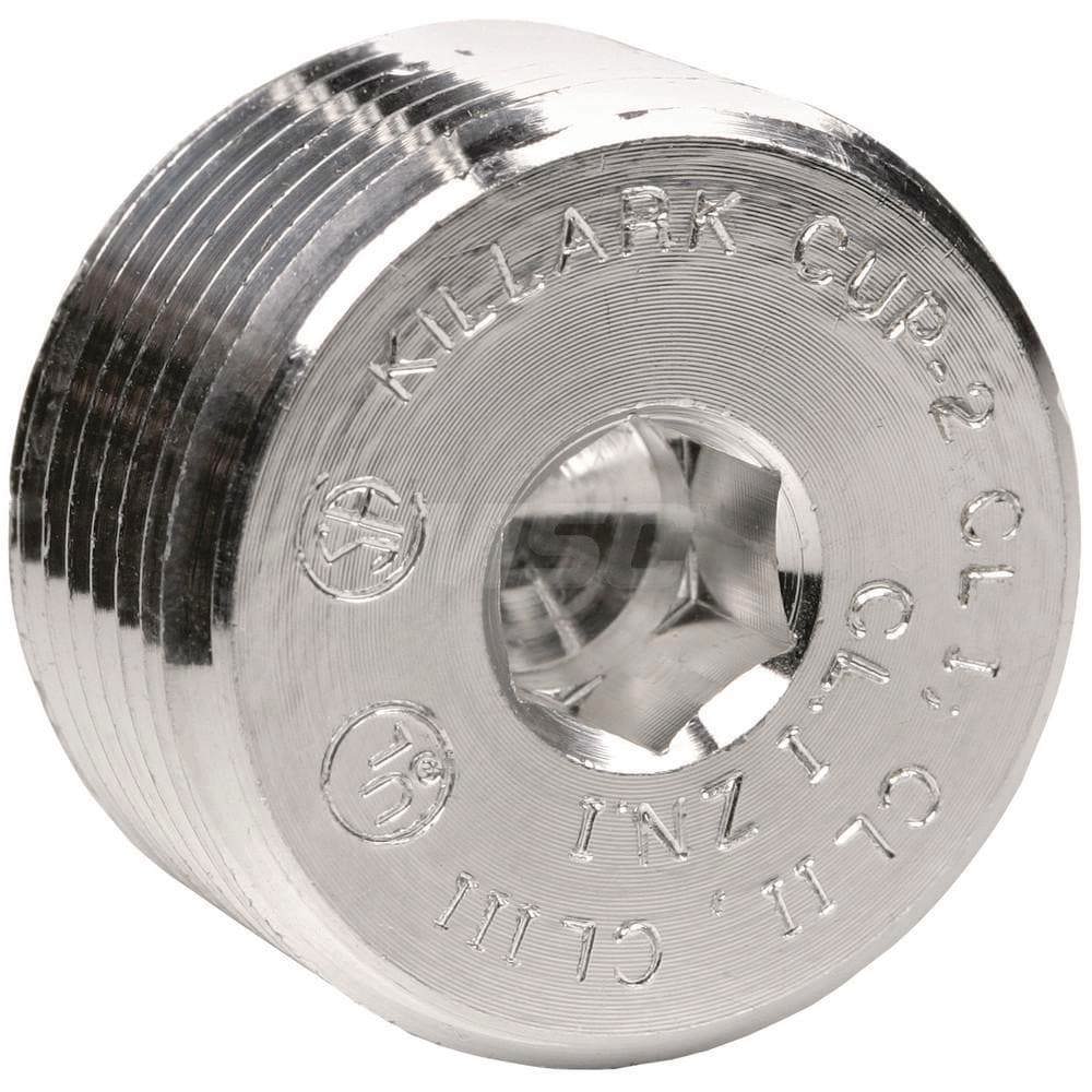 Conduit Plug: For Rigid, 1