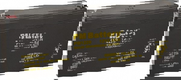 Rechargeable Lead Battery: 12V, Quick-Disconnect Terminal