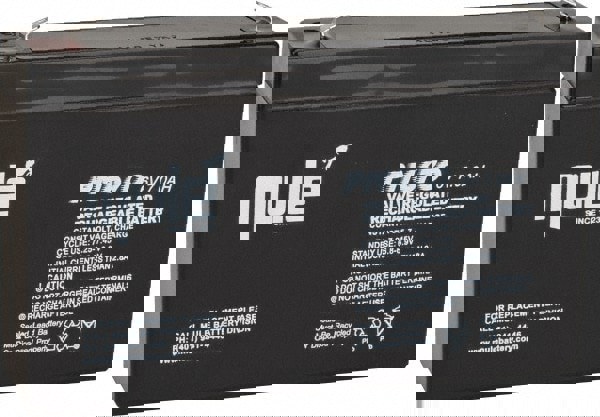 Rechargeable Lead Battery: 6V, Quick-Disconnect Terminal
