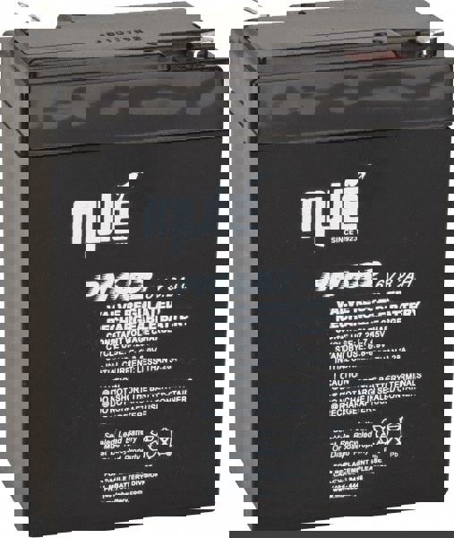 Rechargeable Lead Battery: 6V, 8 Ah, Quick-Disconnect Terminal