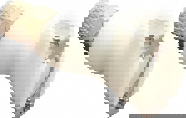 Push-to-Connect Tube Fitting: Shutoff, 5/32