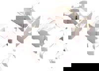 2-1/2 Inch Long x 4-3/8 Inch High, Racew