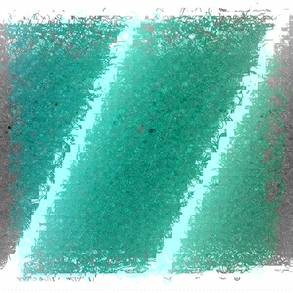 Oil Skimmer Filter Block: