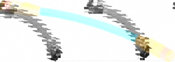 Lead-In Whip Hose: 1/4