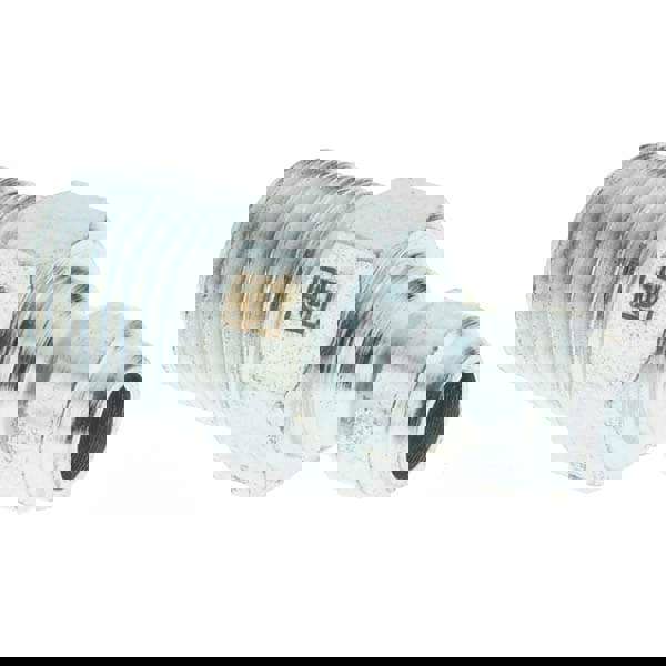 Hose-Adapters,Couplers,Connect