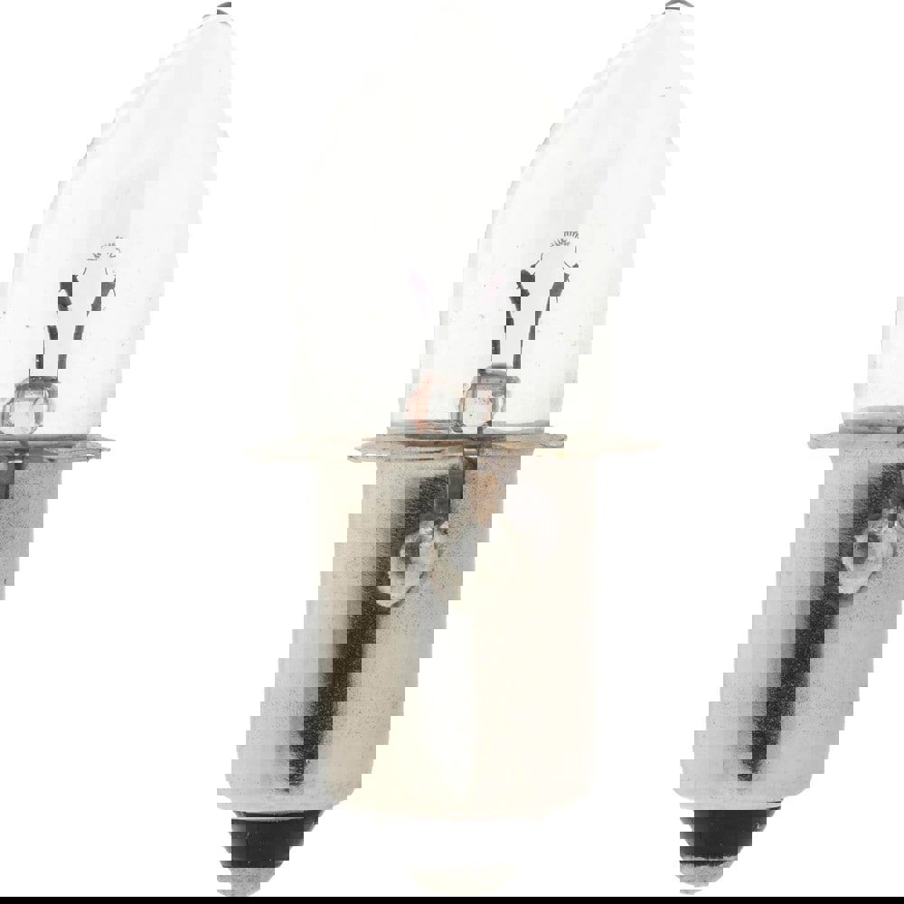 1.19 Watt, 2.38 Volt, Incandescent Miniature & Specialty B3-1/2 Lamp