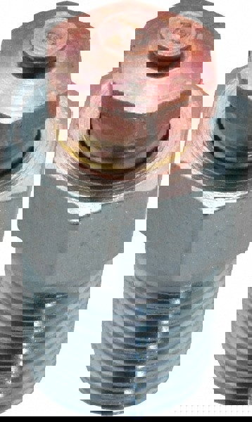 1/4-18 Thread, 1 to 5 psi Relief Pressure, Steel, Relief Vent