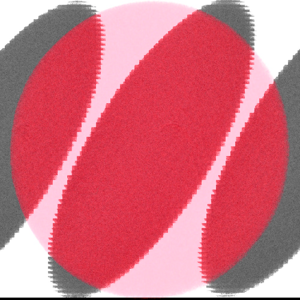 Floor Polishing Pad: Fine