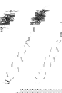 1/2 WIRE HDL FTG BRSH