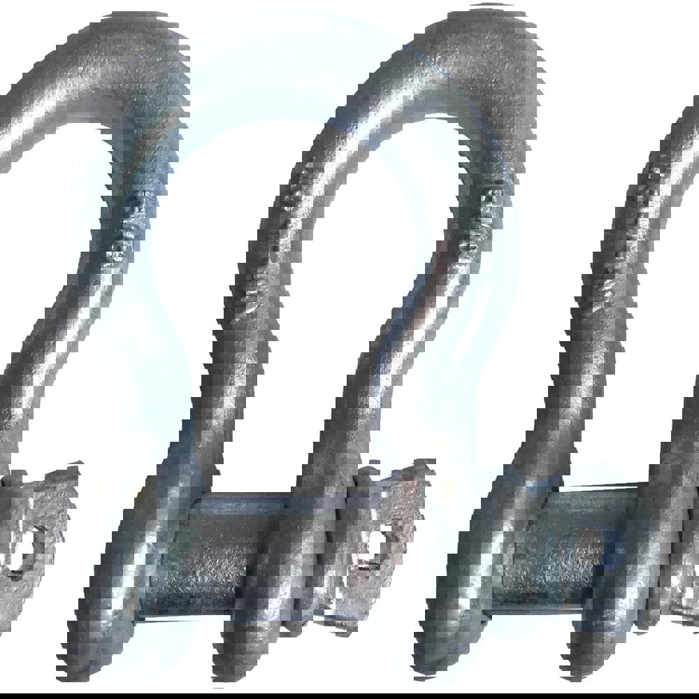 Anchor Shackle: Screw Pin