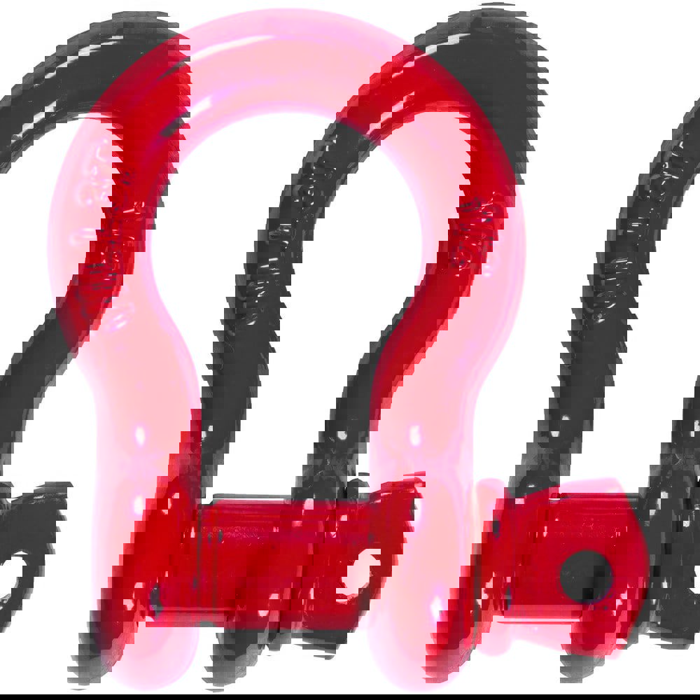 Anchor Shackle: Screw Pin