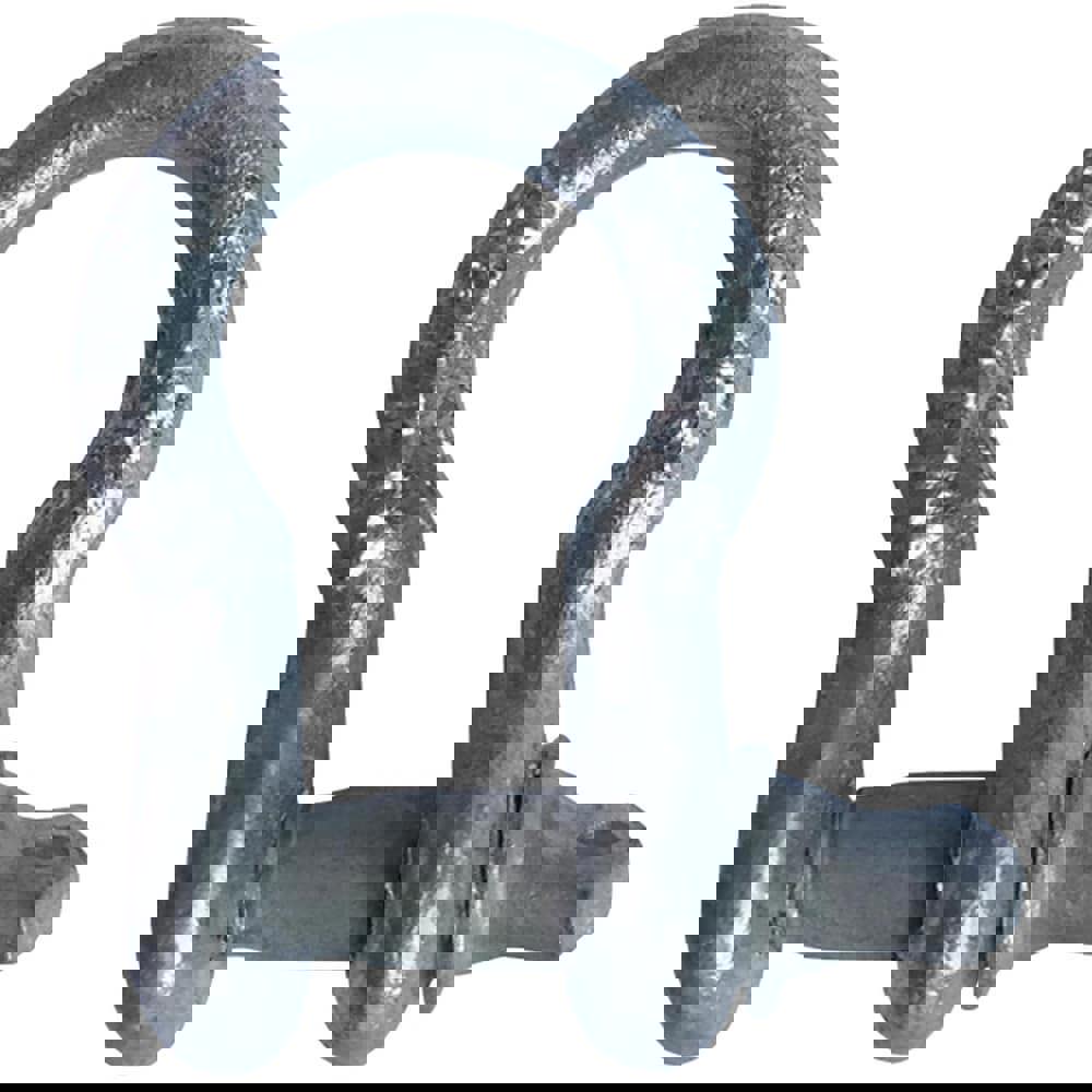 Anchor Shackle: Screw Pin