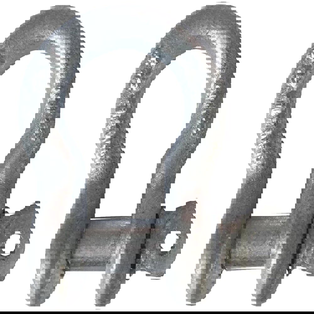 Anchor Shackle: Screw Pin
