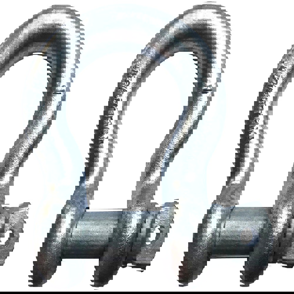 Anchor Shackle: Screw Pin